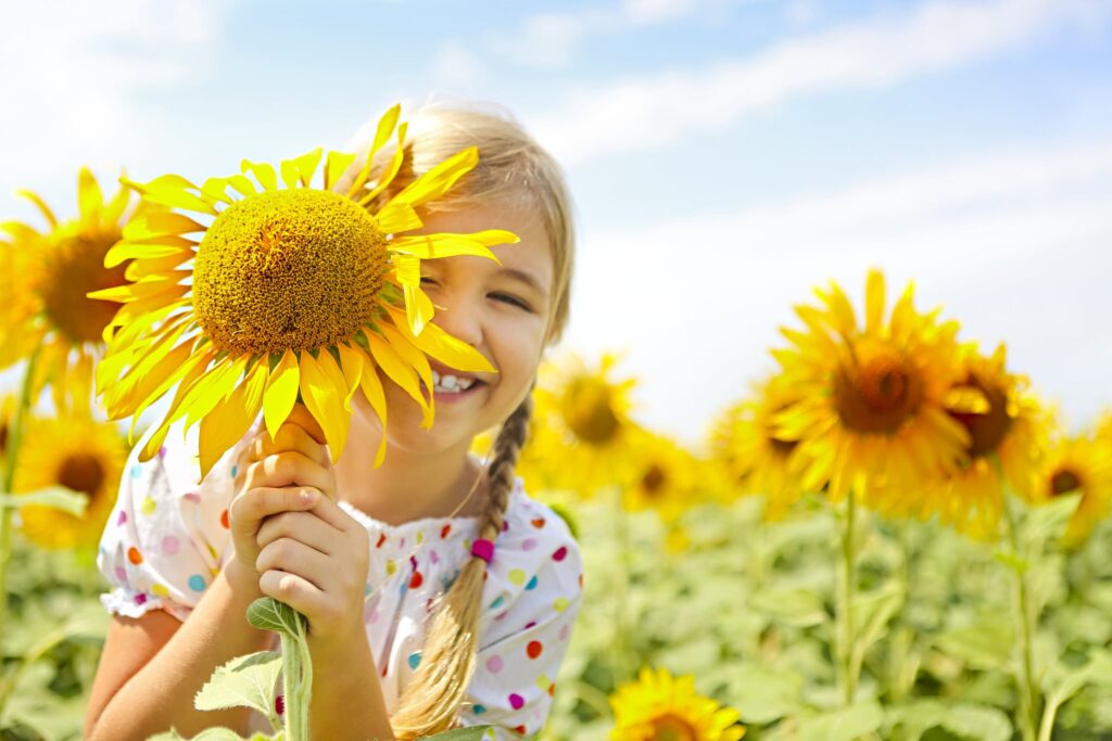 sunflower field photoshoot ideas covering face